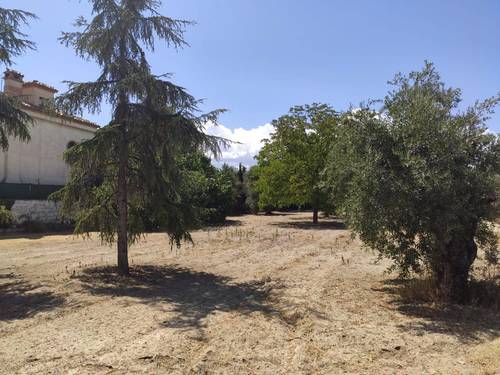imagen 3 de Estupenda finca de recreo con vivienda en Alhendín