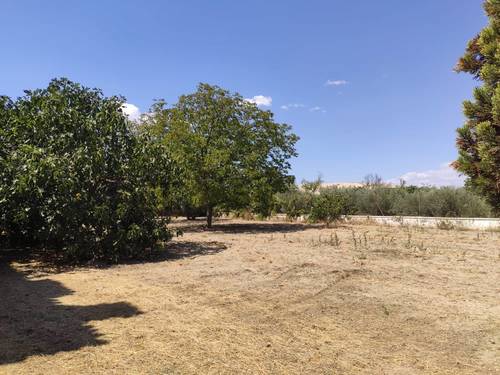 imagen 8 de Estupenda finca de recreo con vivienda en Alhendín