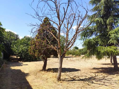 imagen 5 de Estupenda finca de recreo con vivienda en Alhendín