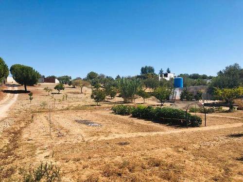 imagen 1 de Venta de magnífica Finca Rústica en Mérida (Badajoz)