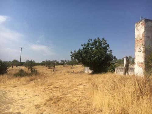imagen 2 de Venta de Finca Rústica en Zafra (Badajoz)
