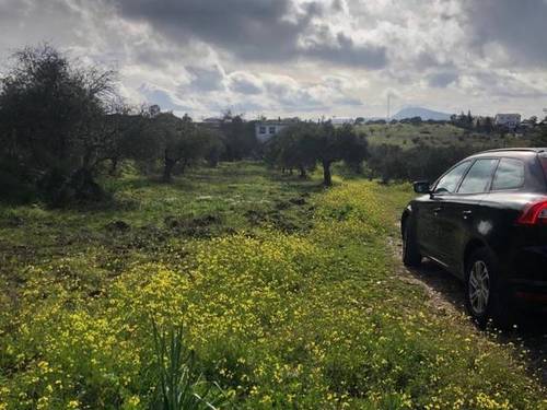 imagen 1 de Venta de finca rústica en Mérida (Badajoz)
