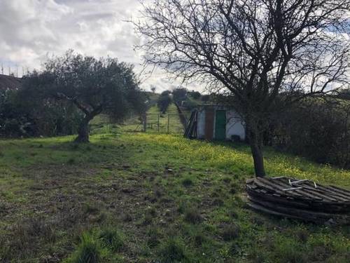 imagen 4 de Venta de finca rústica en Mérida (Badajoz)
