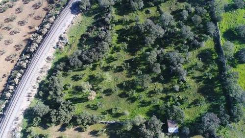 imagen 3 de Venta de olivar en Valencia Del Ventoso (Badajoz)