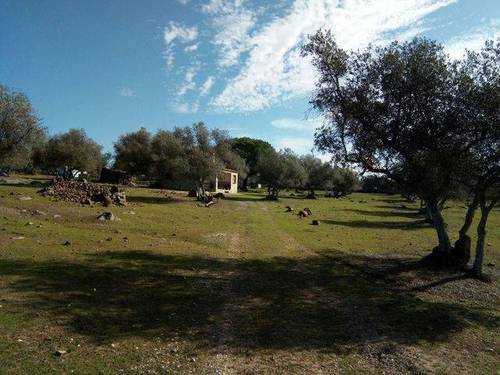 imagen 2 de Venta de una preciosa finca en Fregenal De La Sierra (Badajoz)
