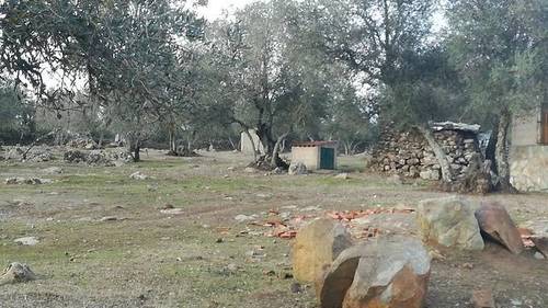 imagen 4 de Venta de una preciosa finca en Fregenal De La Sierra (Badajoz)