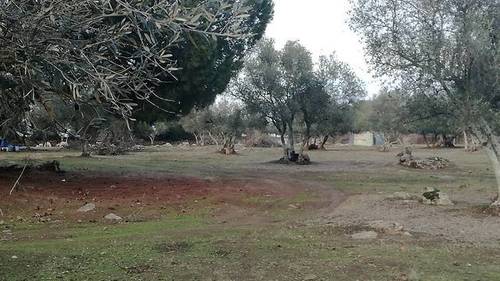 imagen 5 de Venta de una preciosa finca en Fregenal De La Sierra (Badajoz)