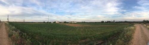 imagen 5 de Venta de terreno agrícola en Badajoz