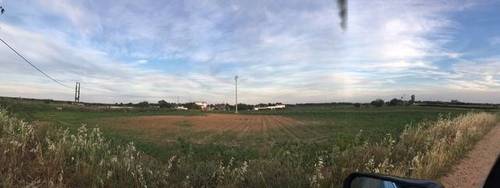 imagen 6 de Venta de terreno agrícola en Badajoz