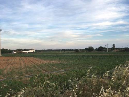 imagen 2 de Venta de terreno agrícola en Badajoz