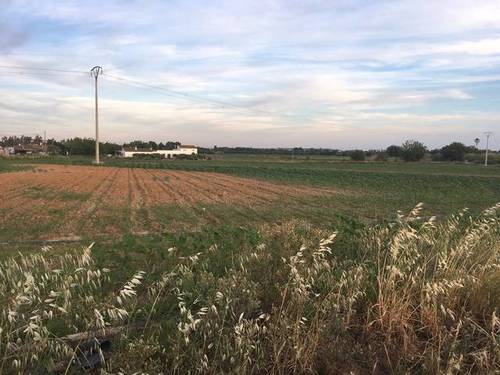 imagen 3 de Venta de terreno agrícola en Badajoz