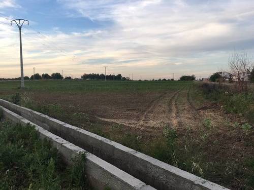 imagen 4 de Venta de terreno agrícola en Badajoz