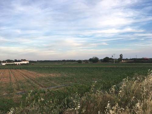 imagen 7 de Venta de terreno agrícola en Badajoz