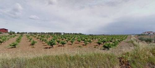 imagen 1 de Venta de Parcela agrícola en Fuente Del Maestre (Badajoz)