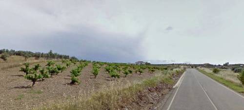 imagen 1 de Venta de Parcela agrícola en Fuente Del Maestre (Badajoz)