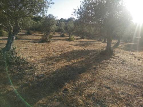 imagen 1 de Venta de parcela rústica en Alburquerque (Badajoz)