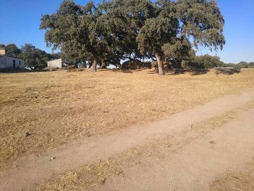 imagen 2 de Venta de parcela rústica en Alburquerque (Badajoz)