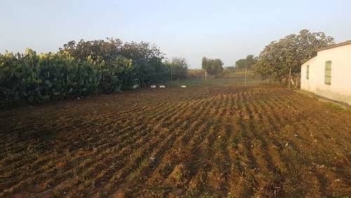 imagen 1 de Venta de finca rústica en Badajoz