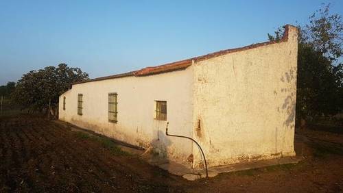 imagen 2 de Venta de finca rústica en Badajoz
