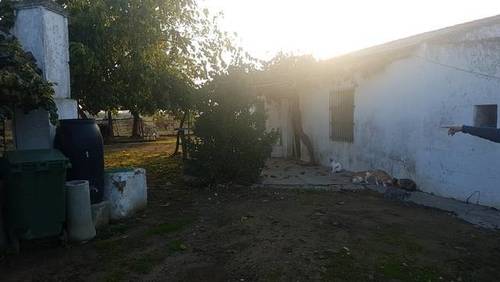 imagen 1 de Venta de finca rústica en Badajoz