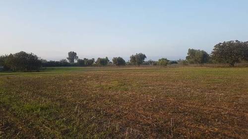 imagen 4 de Venta de finca rústica en Badajoz