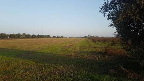 imagen 7 de Venta de finca rústica en Badajoz