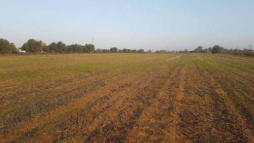 imagen 8 de Venta de finca rústica en Badajoz