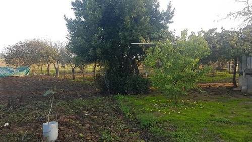 imagen 3 de Venta de finca rústica en Badajoz