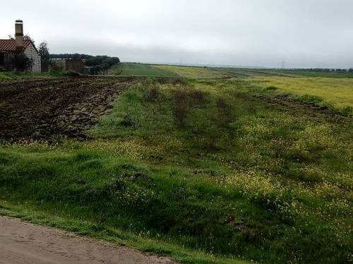 imagen 1 de Venta de terreno en Esparragalejo (Badajoz)