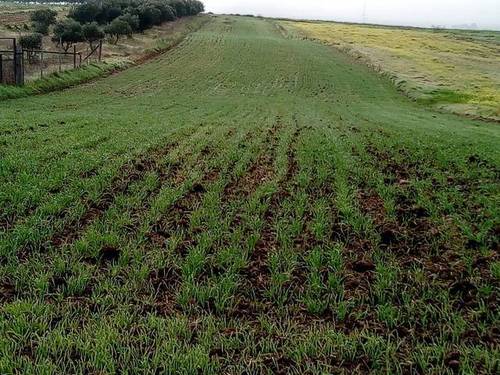 imagen 1 de Venta de terreno en Esparragalejo (Badajoz)