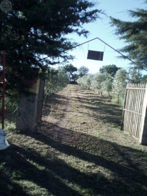imagen 1 de Venta de finca rústica en San Vicente De Alcántara (Badajoz)