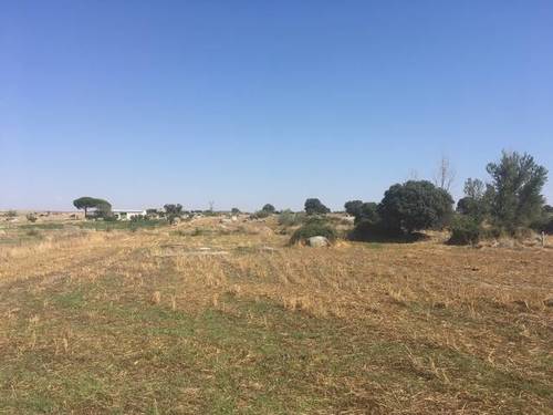 imagen 1 de Venta de terreno rústico en Quintana De La Serena (Badajoz)