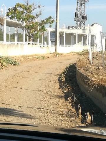 imagen 5 de Venta de viñedo en Villanueva De La Serena (Badajoz)