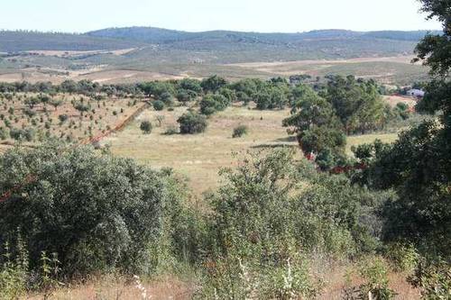 imagen 1 de Venta de finca agrícola en La Codosera (Badajoz)