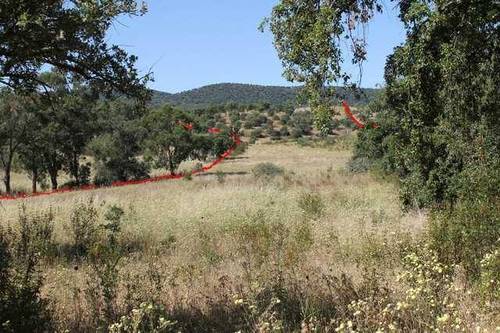 imagen 1 de Venta de finca agrícola en La Codosera (Badajoz)