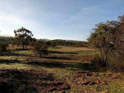 imagen 3 de Venta de finca agrícola en La Codosera (Badajoz)