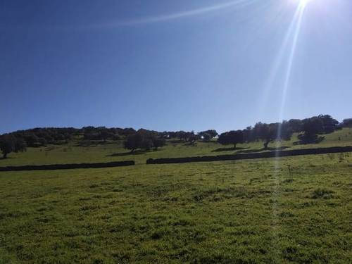 imagen 1 de Venta de finca rústica en Jerez De Los Caballeros (Badajoz)