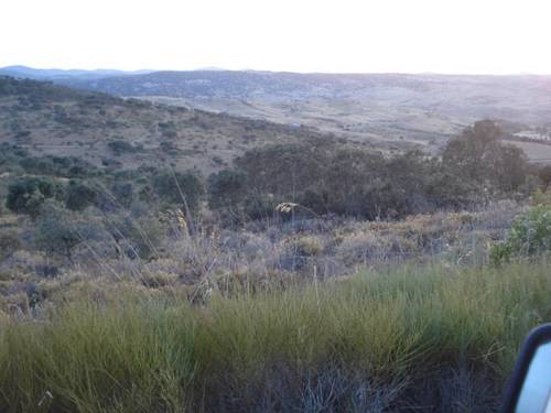 imagen 3 de Venta de parcela agrícola y ganadera en Montemolin (Badajoz)