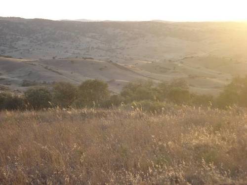 imagen 6 de Venta de parcela agrícola y ganadera en Montemolin (Badajoz)