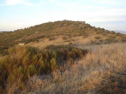 imagen 5 de Venta de parcela agrícola y ganadera en Montemolin (Badajoz)