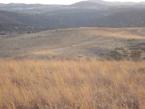 imagen 7 de Venta de parcela agrícola y ganadera en Montemolin (Badajoz)