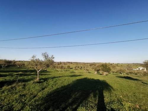 imagen 1 de Venta de terreno rústico en Fregenal De La Sierra (Badajoz)