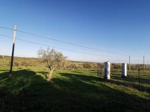 imagen 2 de Venta de terreno rústico en Fregenal De La Sierra (Badajoz)