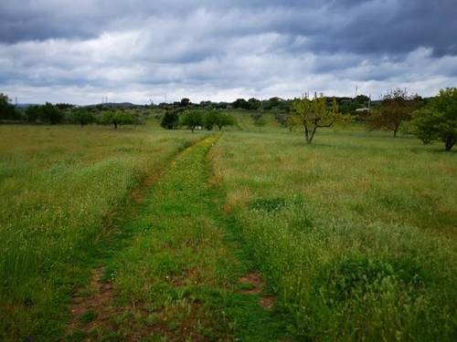 imagen 1 de Venta de terreno rústico en Fregenal De La Sierra (Badajoz)
