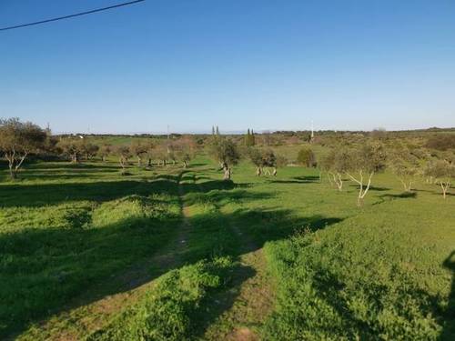 imagen 3 de Venta de terreno rústico en Fregenal De La Sierra (Badajoz)
