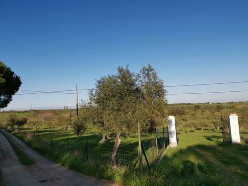 imagen 4 de Venta de terreno rústico en Fregenal De La Sierra (Badajoz)