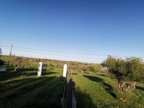 imagen 5 de Venta de terreno rústico en Fregenal De La Sierra (Badajoz)