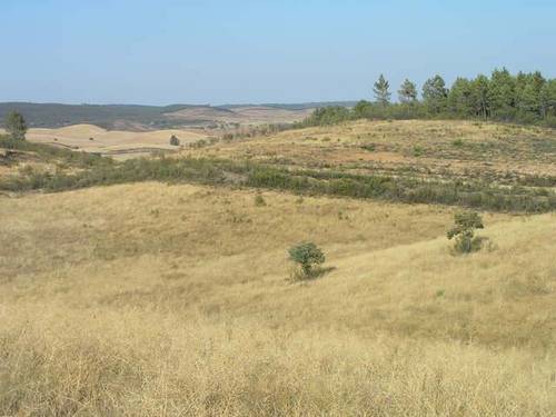 imagen 3 de Venta de fincas en La Codosera (Badajoz)