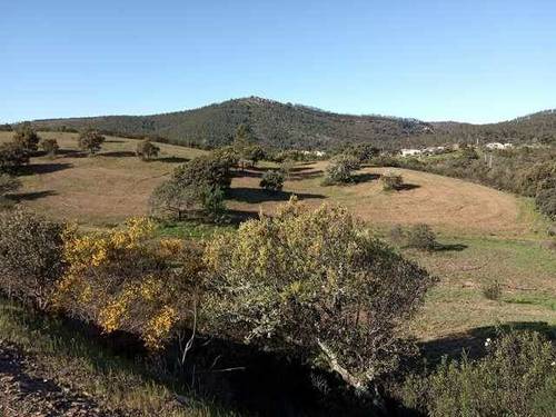 imagen 4 de Venta de fincas en La Codosera (Badajoz)