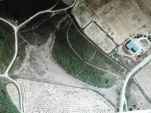 imagen 5 de Venta de fincas en La Codosera (Badajoz)